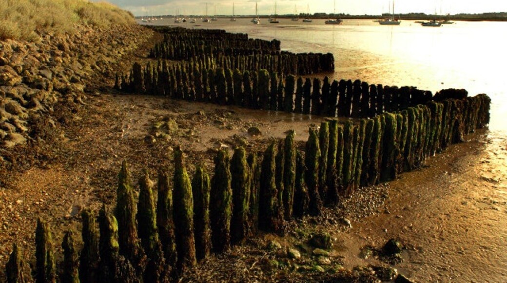 Foto „Ramsholt“ von Nat Bocking (CC BY-SA)/zugeschnittenes Original