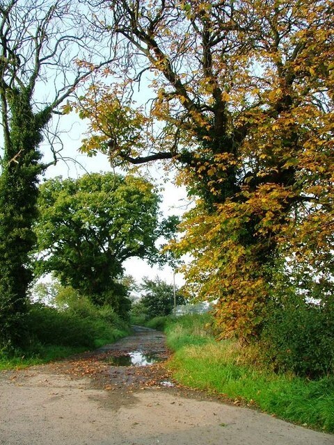 Foto “Crosby” tomada por Mick Garratt (CC BY-SA); recorte de la original
