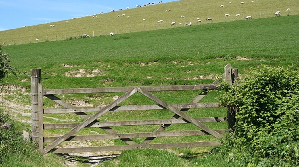 Photo "East Buckland" by Martin Bodman (CC BY-SA) / Cropped from original