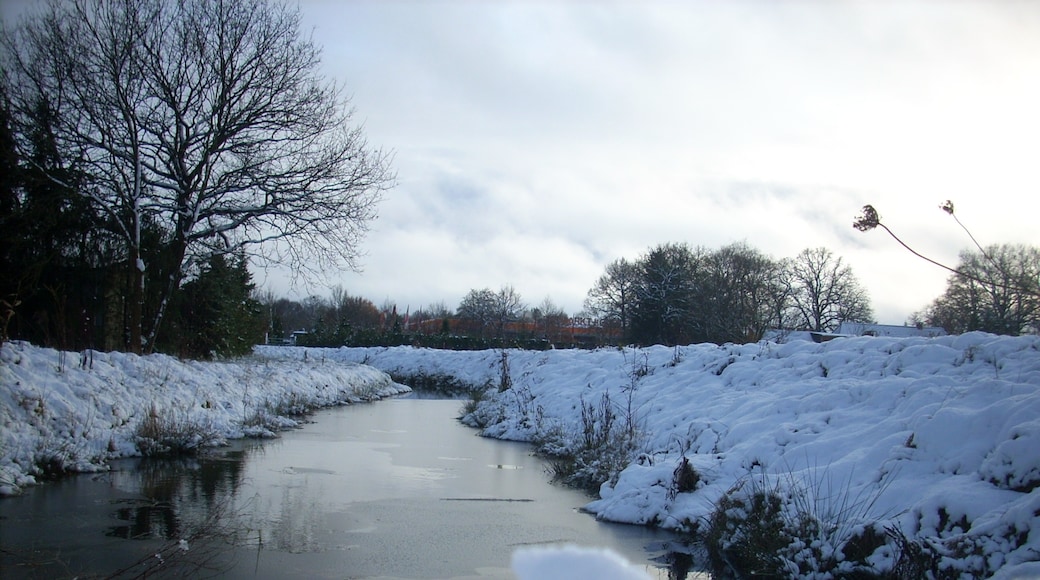 « Oldenbourg», photo de d-irk (CC BY-SA) / rognée de l’originale