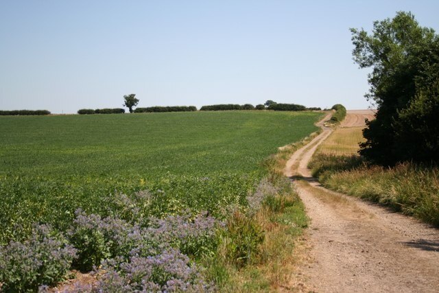 Photo "Wold Newton" by Richard Croft (CC BY-SA) / Cropped from original