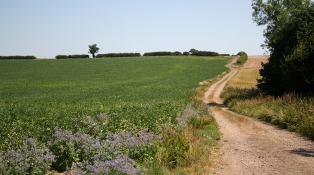 Photo "Wold Newton" by Richard Croft (CC BY-SA) / Cropped from original