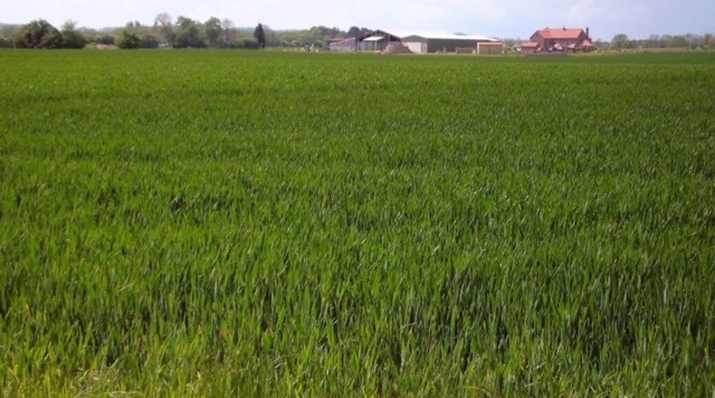 Kuva ”Holton le Clay” käyttäjältä John Beal (CC BY-SA) / rajattu alkuperäisestä kuvasta