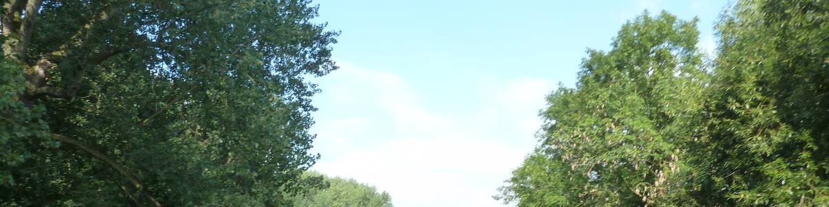 Photo "Leine Radweg" by andysfox (Creative Commons Attribution 3.0) / Cropped from original