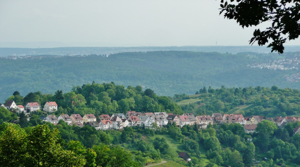 Photo "Fellbach" by qwesy qwesy (CC BY) / Cropped from original