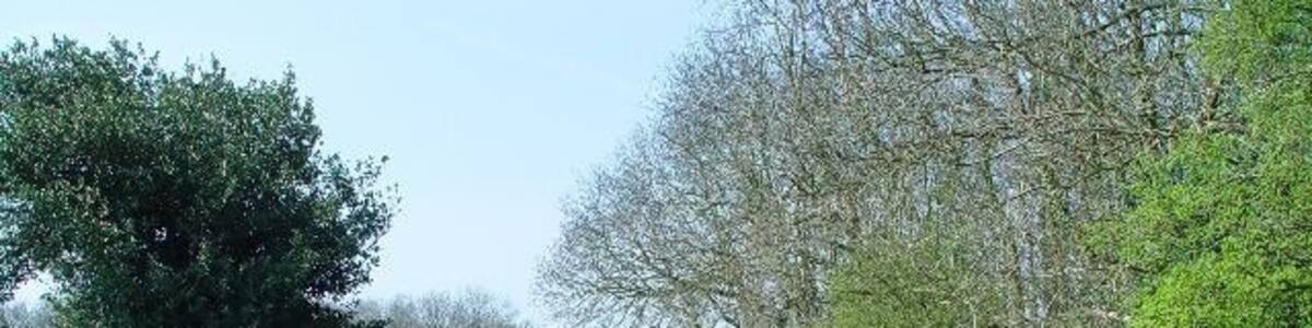 Photo "Peggy Farrow Lane, Elloughton, East Riding of Yorkshire, England. Rising gently above the arable farmland, with views across the Humber Estuary, the bridleway (known as Peggy Farrow Lane) leads to the beech woods and on to the top of Brantingham Dale." by Peter Church (Creative Commons Attribution-Share Alike 2.0) / Cropped from original