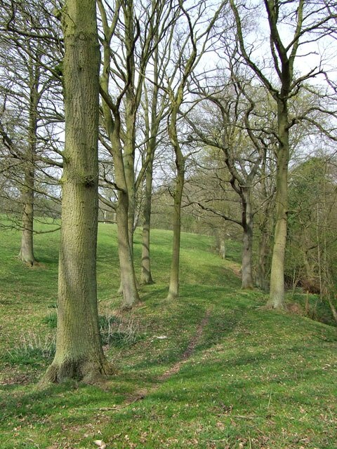 Billede "Romsley" af Roger Kidd (CC BY-SA) / beskåret fra det originale billede