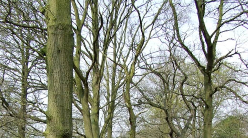 Billede "Romsley" af Roger Kidd (CC BY-SA) / beskåret fra det originale billede