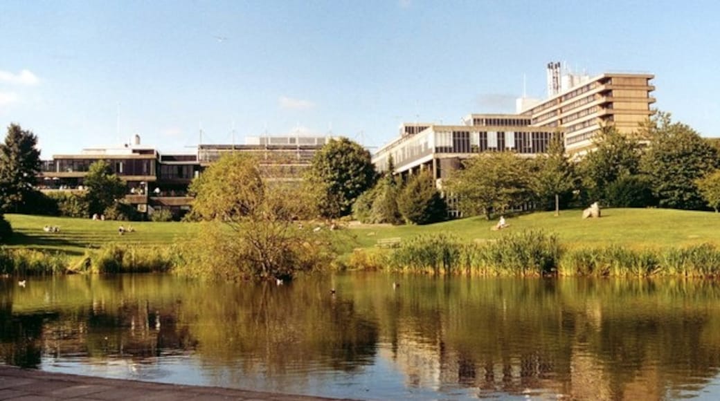 Bildet «University of Bath» tatt av Philip Pankhurst (CC BY-SA) / originalbilde beskjært