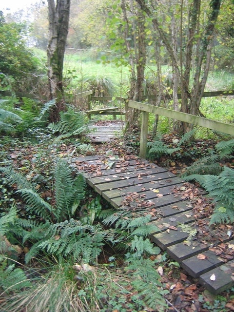 Footbridges over stream Footbridges making a better crossing over a Ford in a woodland