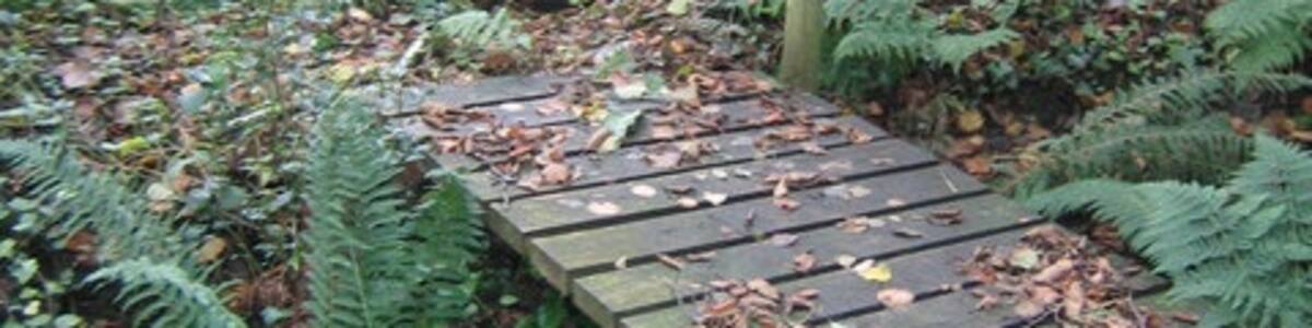 Photo "Footbridges over stream Footbridges making a better crossing over a Ford in a woodland" by Rob Jameson (Creative Commons Attribution-Share Alike 2.0) / Cropped from original