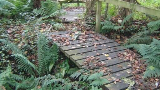 Photo "Bishopswood" by Rob Jameson (CC BY-SA) / Cropped from original