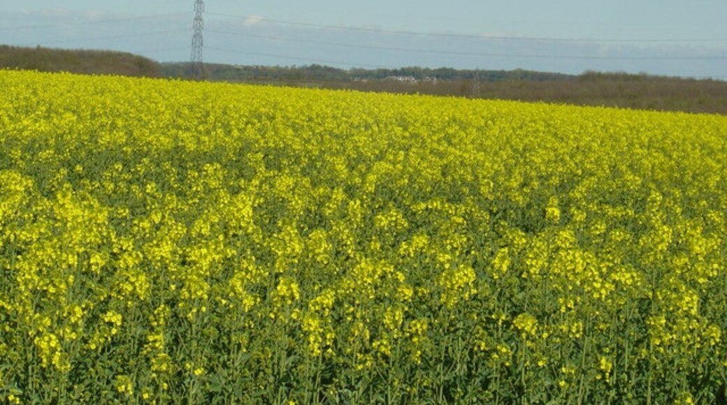 Photo "Lower Hardres and Nackington" by Adrian Beaumont (CC BY-SA) / Cropped from original