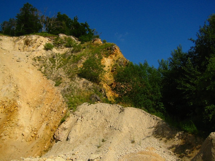 Aufschluss am Steinbruch Oppertshofen (Tapfheim)