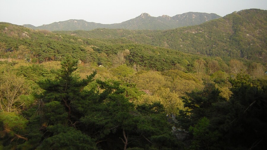 Photo "충남 서산 덕산 덕숭산 Korea" by Chanilim714 (Creative Commons Attribution-Share Alike 3.0) / Cropped from original