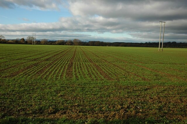 Foto "Little Comberton" de Philip Halling (CC BY-SA) / Recortada do original