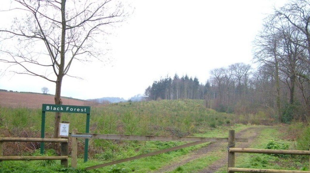 Kuva ”Mamhead” käyttäjältä Derek Harper (CC BY-SA) / rajattu alkuperäisestä kuvasta