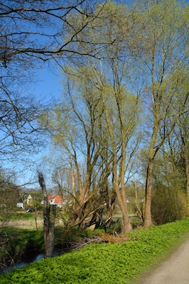 This is a picture of the protected area listed at WDPA under the ID