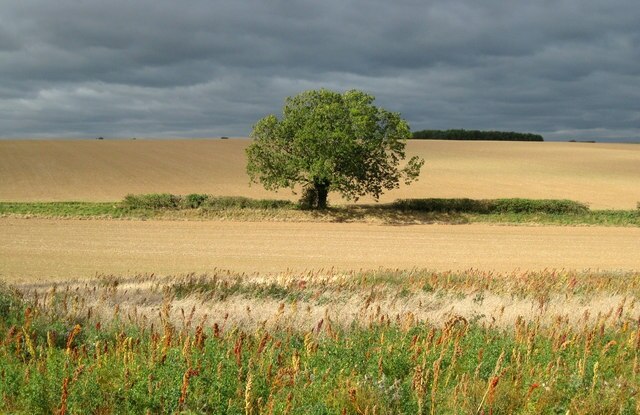 Foto "West Ravendale" por Kate Nicol (CC BY-SA) / Recortada de la original