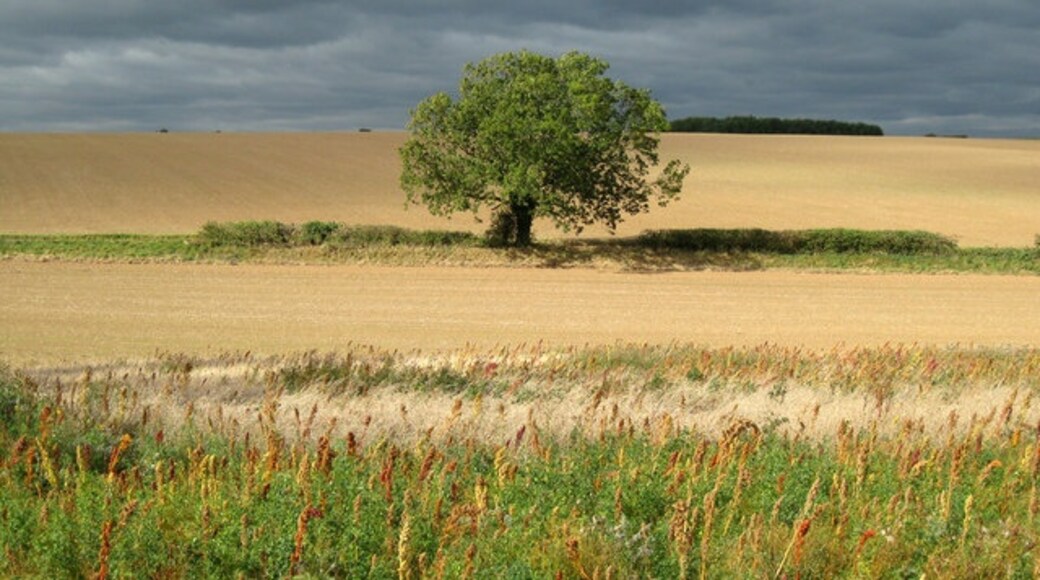 Foto "West Ravendale" por Kate Nicol (CC BY-SA) / Recortada de la original