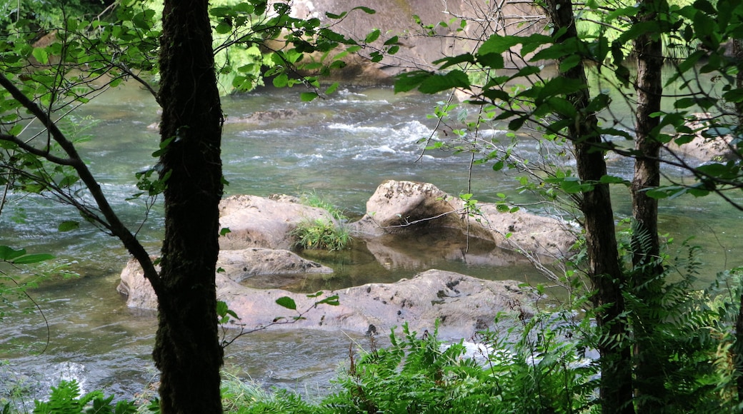 Foto "Puentedeume" por Mgl.branco (page does not exist) (CC BY-SA) / Recortada de la original