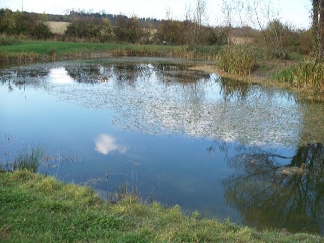 Pond near Aston Hale This pond has been recently created and serves the many game birds raised in the area. Note the feed hopper for the birds in the background.