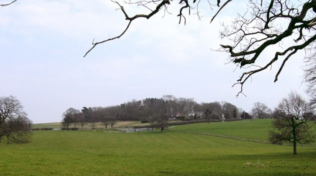 Photo "Elkington" by John Beal (CC BY-SA) / Cropped from original