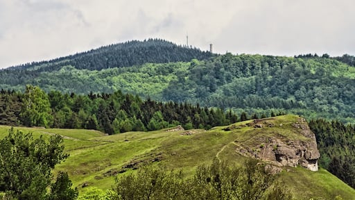 Foto „Herzberg am Harz“ von Boris Gonschorek (CC BY)/zugeschnittenes Original