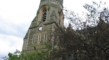 Default Image