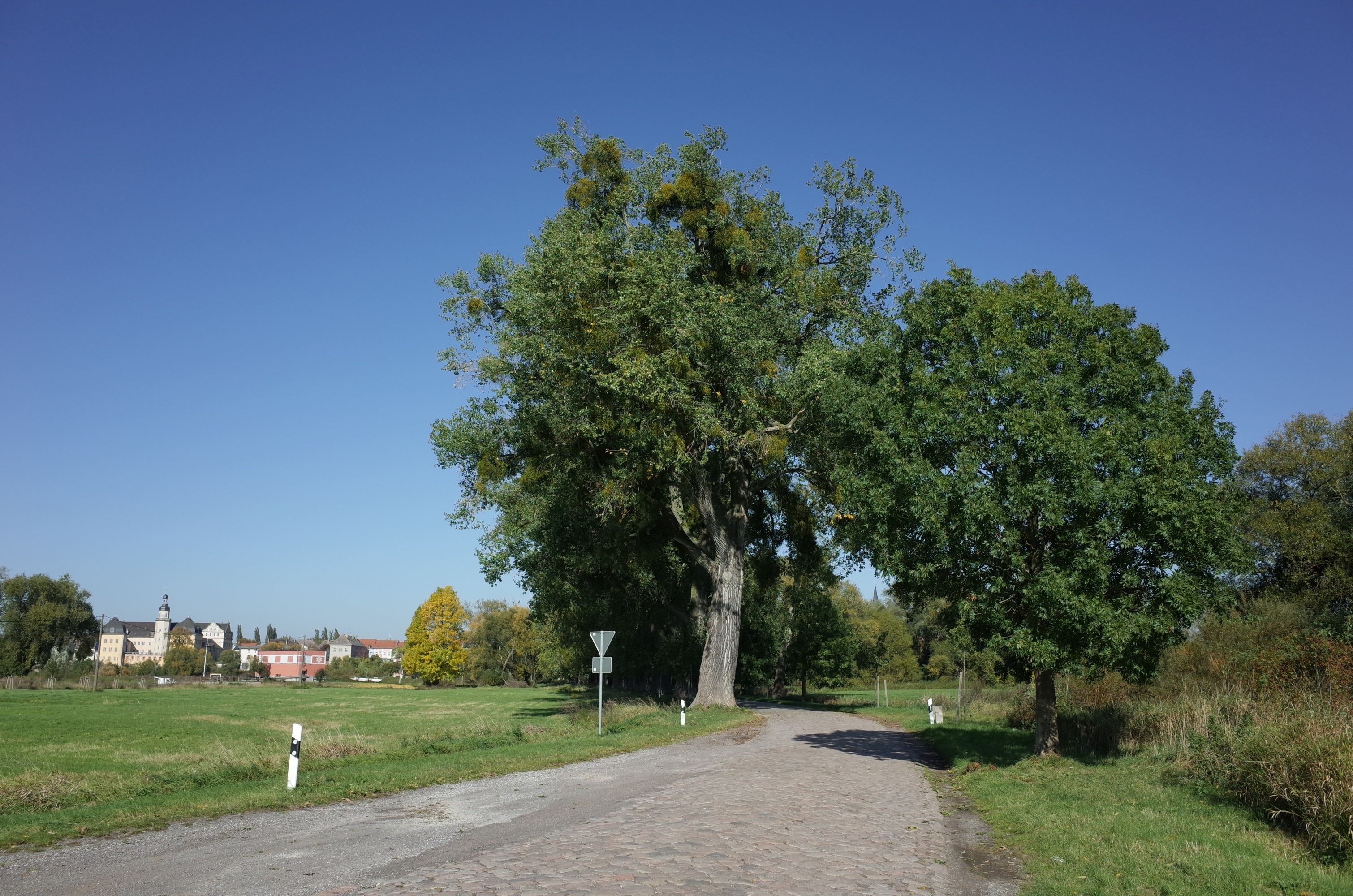 Bildet «Coswig» tatt av M_H.DE (CC BY-SA) / originalbilde beskjært