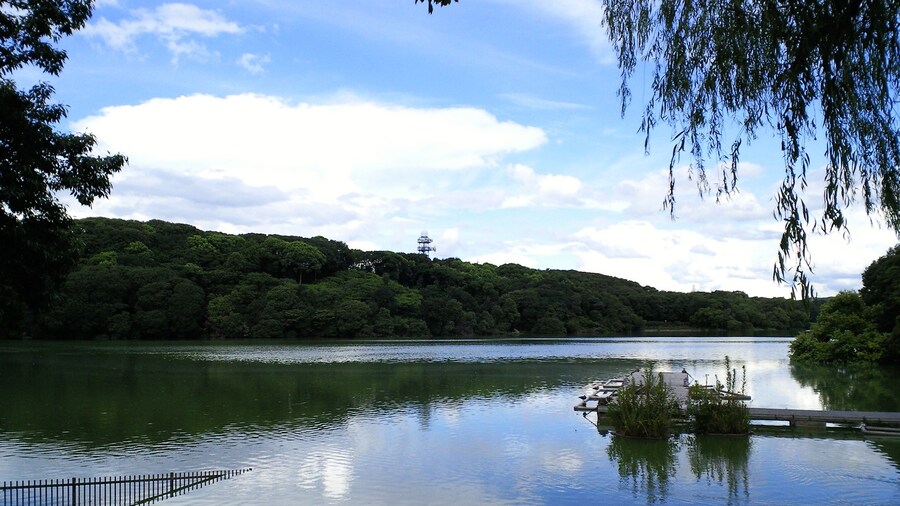 Photo "Yamada ike (Pond), Hirakata, Osaka, Japan" by Kansai explorer (Creative Commons Attribution 3.0) / Cropped from original