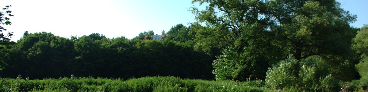Photo "Confluence of the Altefeld (front) and Lauter Rivers (left) in Bad Salzschlirf creating the Schlitz River (right)" by UuMUfQ (Creative Commons Attribution-Share Alike 3.0) / Cropped from original