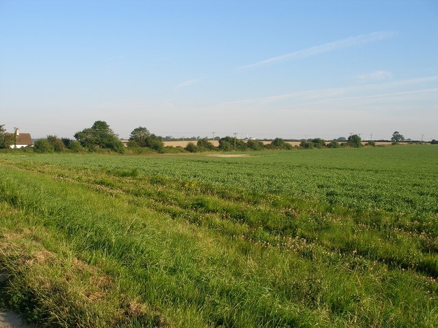 The tree lined old railway line heads north Part of the ex Midland and Great Northern Joint railway line from Yarmouth Beach to Melton Constable, closed 28th February 1959.