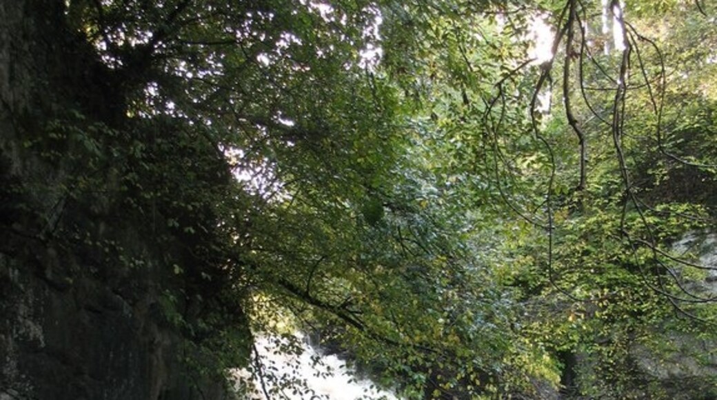 Foto “Burton-cum-Walden” tomada por Gordon Hatton (CC BY-SA); recorte de la original