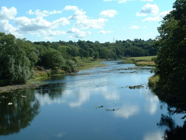 Ribble. River south of Ribchester bridge