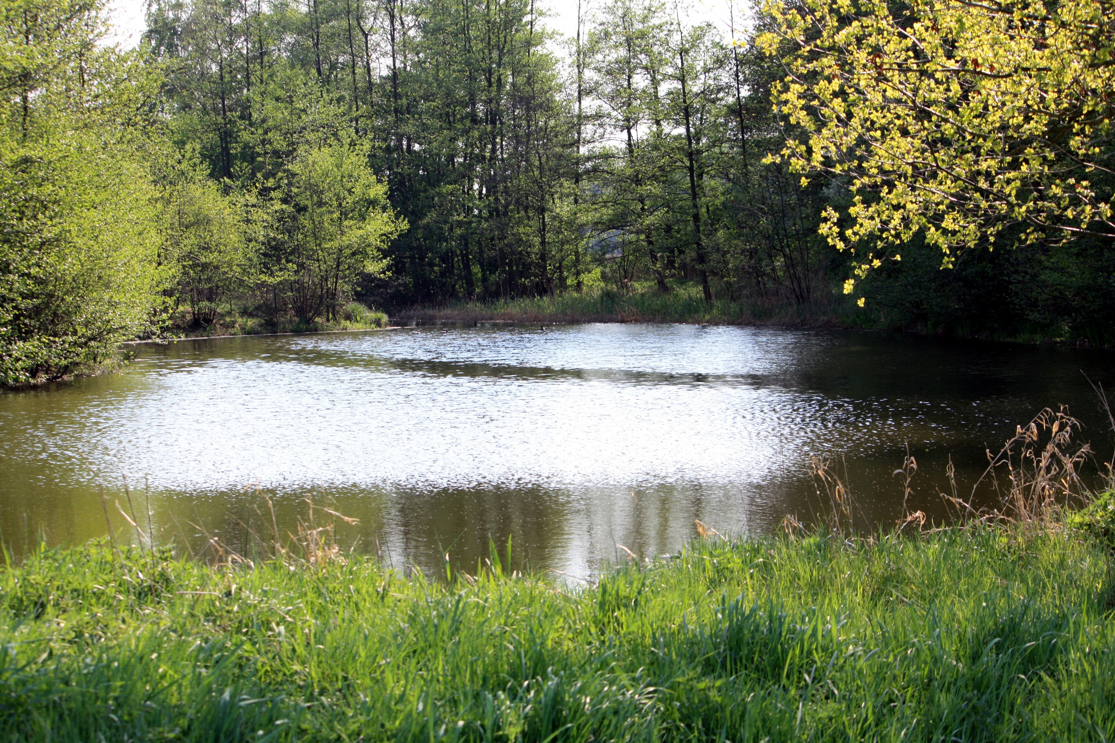 Ảnh "Harsewinkel" của Daniel Brockpähler (CC BY) / Cắt từ ảnh gốc