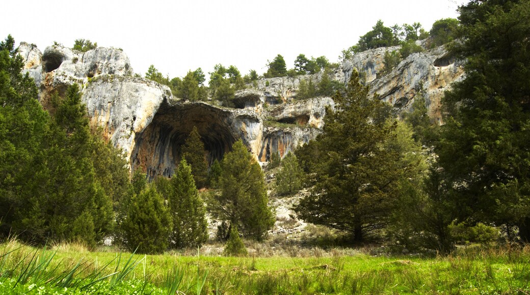 Kuva ”Herrera de Soria” käyttäjältä José Ibáñez (CC BY) / rajattu alkuperäisestä kuvasta