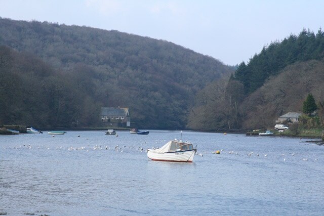 Lerryn: after high tide. The is tide on the ebb. Seen from the public car park at Lerryn, looking south west