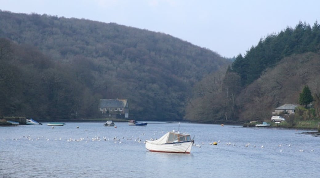 Photo "Lerryn" by Martin Bodman (CC BY-SA) / Cropped from original