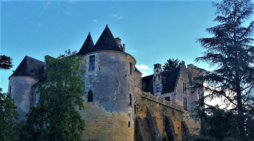 Château de Fayrac, Castelnaud-la-Chapelle, Dordogne, Frankreich