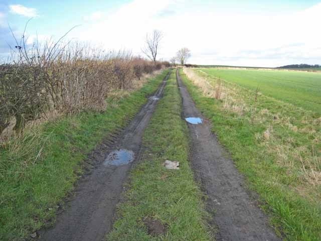 Kuva ”Little Lumley” käyttäjältä Oliver Dixon (CC BY-SA) / rajattu alkuperäisestä kuvasta