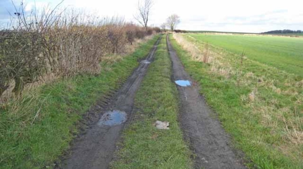 Kuva ”Little Lumley” käyttäjältä Oliver Dixon (CC BY-SA) / rajattu alkuperäisestä kuvasta