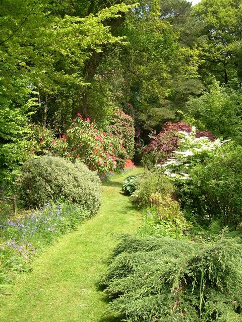 Garden at Ffynone