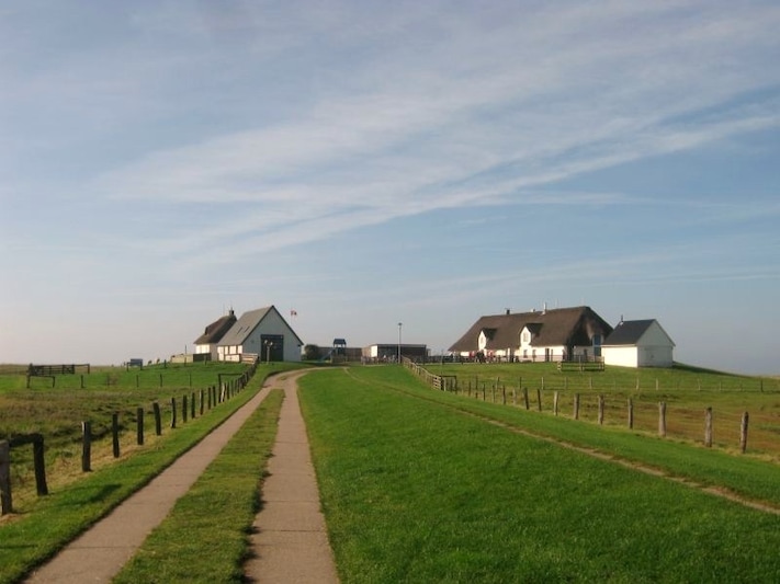 Hamburger Hallig, Reußenköge, Kreis Nordfriesland. Gebäude der Hallig, rechts der Krog.