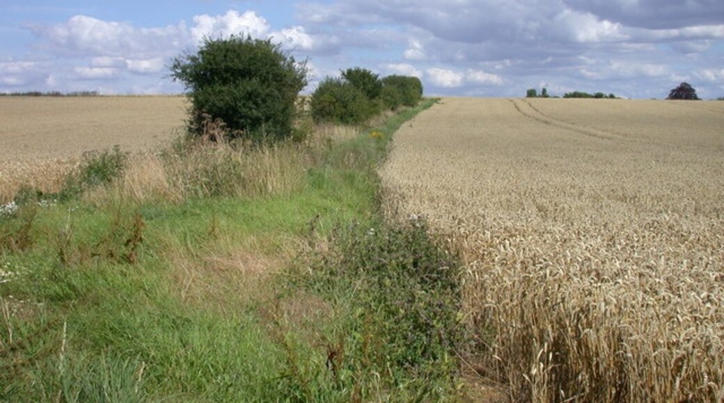 "Wyddial"-foto av Keith Edkins (CC BY-SA) / Urklipp från original