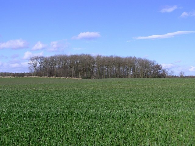 Photo "Walworth" by Hugh Mortimer (CC BY-SA) / Cropped from original