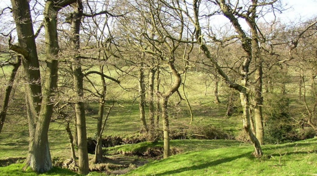 Photo "Stocksmoor" by Humphrey Bolton (CC BY-SA) / Cropped from original