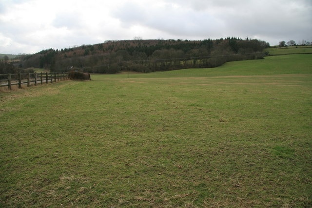 Pastures beside the A489 These sheep pastures are at Cefncanol, near Penstrowed on the A489 just west of Newtown/Y Drenewydd. View looking towards Fridd Wood.