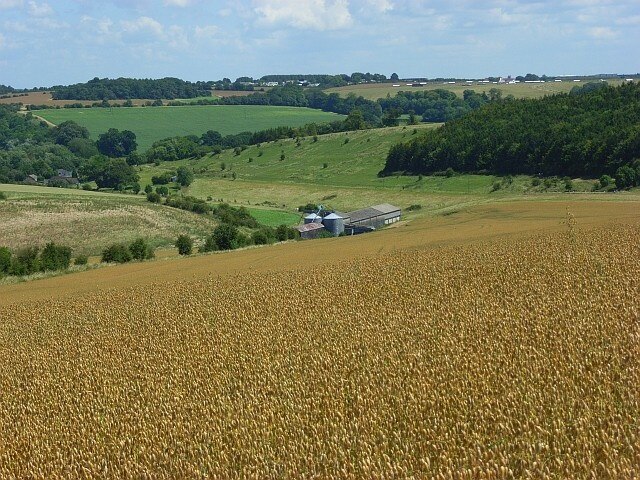 Kuva ”Woodford” käyttäjältä Andrew Smith (CC BY-SA) / rajattu alkuperäisestä kuvasta