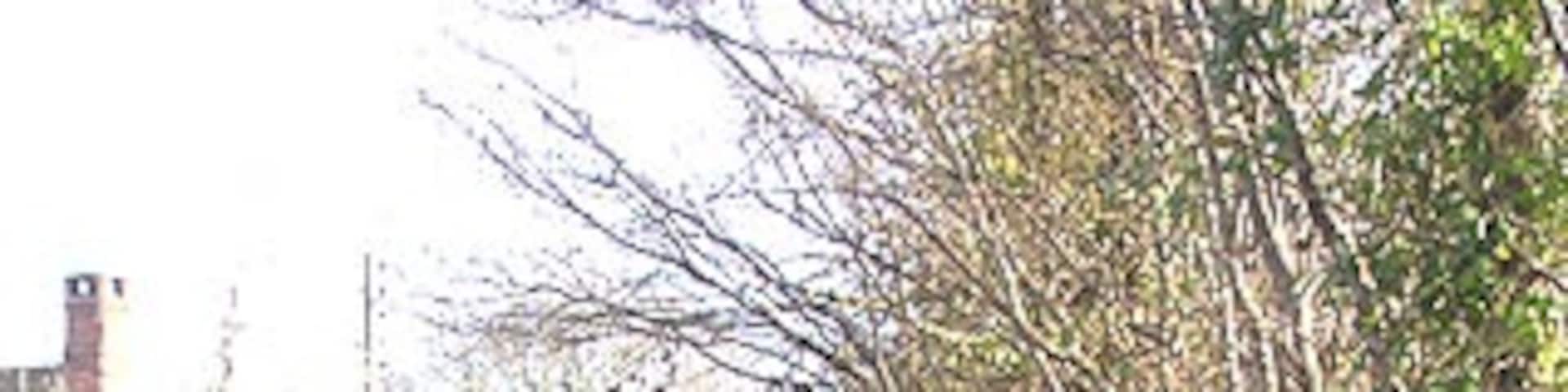 Bilbrook lane ford, east end. See my comments in the picture of the west end. There is a blind bend in between!